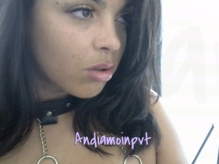 Andiamoinpvt