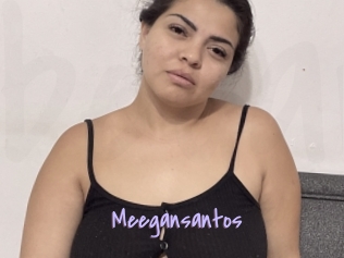 Meegansantos