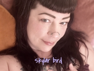 Skylar_bird