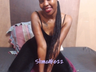 Slimcake22